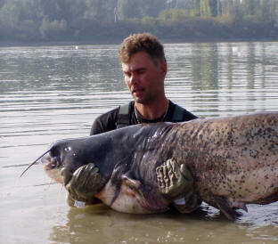 Gesamtgewicht 175 Kilo, 2,35 Meter