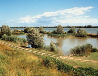 Hotspot bei Hochwasser